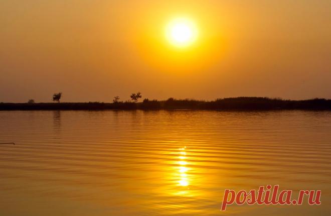 (49) Одноклассники