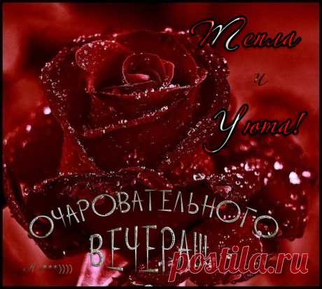 gela tipsha - Грузия, 43 года на Мой Мир@Mail.ru