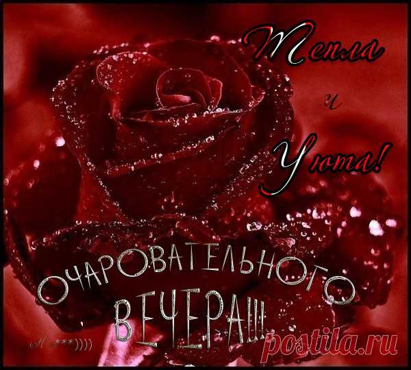 gela tipsha - Грузия, 43 года на Мой Мир@Mail.ru