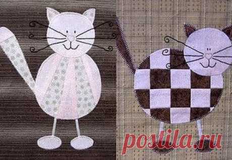 коты