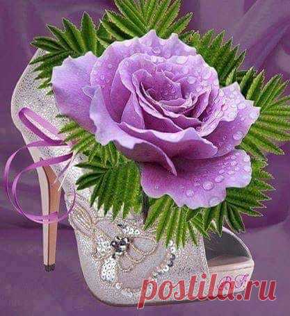(13) Facebook