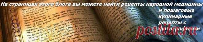Лекарственные травы, противопоказания. | Народные знания от Кравченко Анатолия