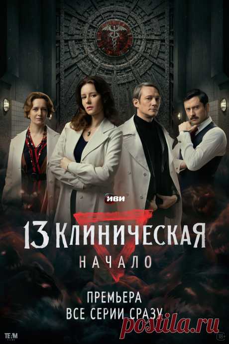 13 клиническая. Начало (2024)