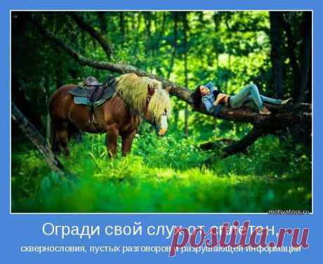 Разговоры и Ваши деньги, любовь, счастье и силы. - Магнитиза
