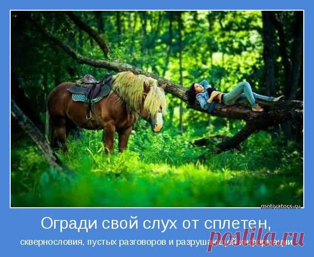 Разговоры и Ваши деньги, любовь, счастье и силы. - Магнитиза