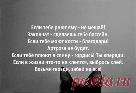 (14) Одноклассники