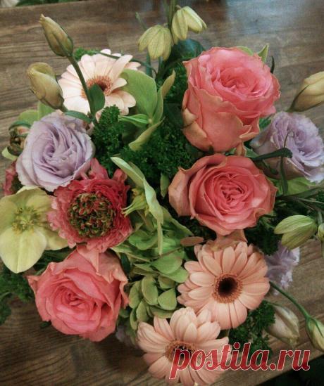 флористика