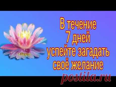 В течение 7 дней успейте загадать желание. | Тайна Жрицы |