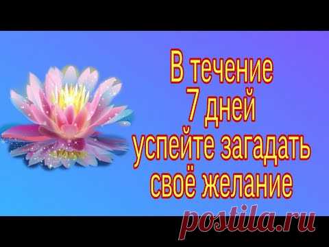 В течение 7 дней успейте загадать желание. | Тайна Жрицы |