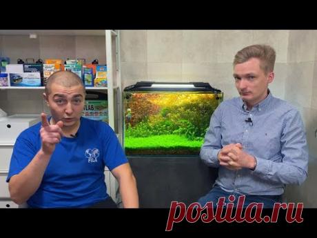 АКТИВИРОВАННЫЙ УГОЛЬ В АКВАРИУМЕ, КАКОЙ, ЗАЧЕМ, ДЛЯ ЧЕГО И СКОЛЬКО! - YouTube