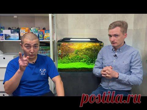 АКТИВИРОВАННЫЙ УГОЛЬ В АКВАРИУМЕ, КАКОЙ, ЗАЧЕМ, ДЛЯ ЧЕГО И СКОЛЬКО! - YouTube