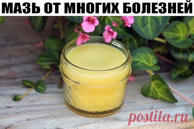 (47) Одноклассники