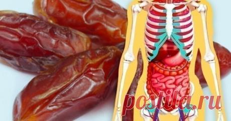 20 ФАКТОВ О ФИНИКАХ