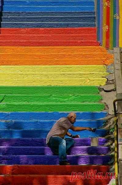 Елена Макарова приколол(а) это к доске Все цвета радуги