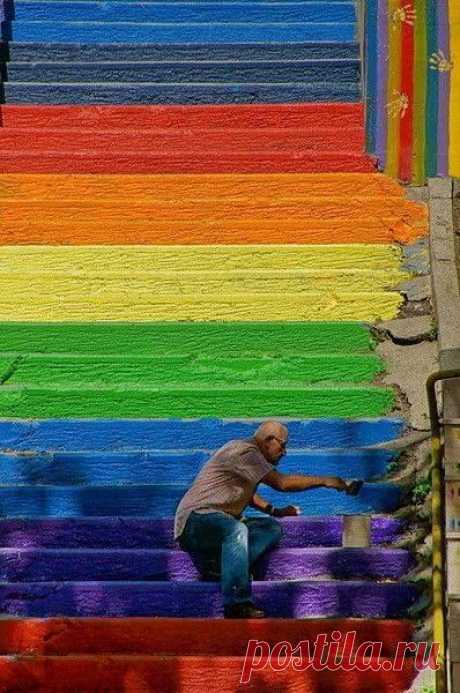 Елена Макарова приколол(а) это к доске Все цвета радуги