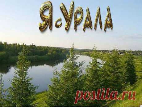 (49) Одноклассники