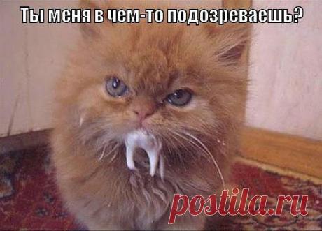 Интересные новости