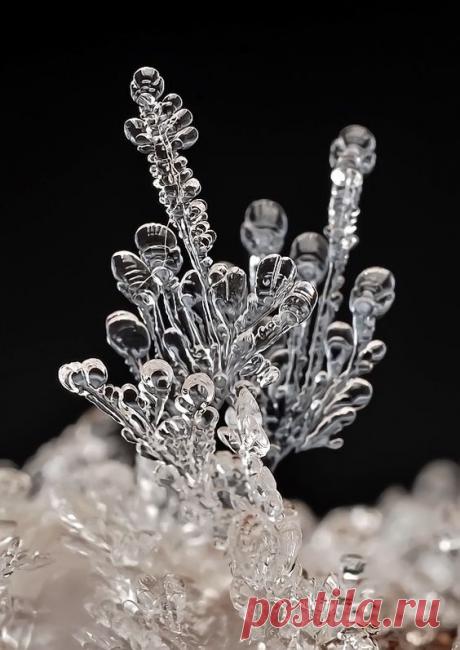 (1318) Pinterest • Всемирный каталог идей