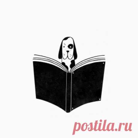 Предлоги, которые все время употребляют неправильно - МирТесен
