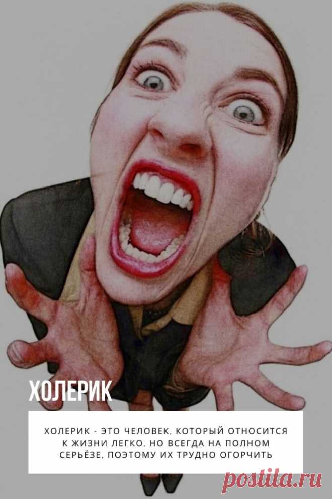 Холерик. У холериков механизм возбудимости и тормоза находится в равновесии. Это помогает холерикам быстро и оперативно принимать правильные решения.

Самый быстрый способ найти подход к человеку – это определить его темперамент. Люди разного темперамента реагируют на одни и те же вещи по-разному.