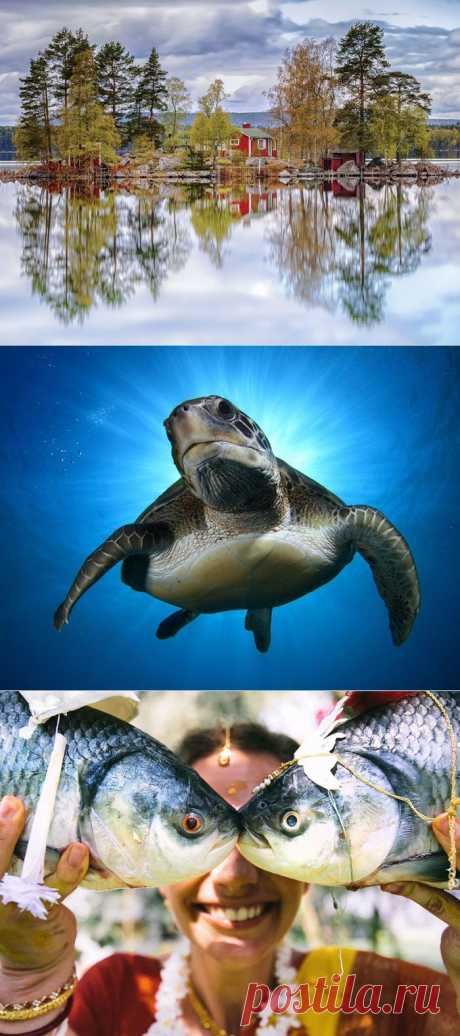 Лучшие фотографии National Geographic ноября 2014