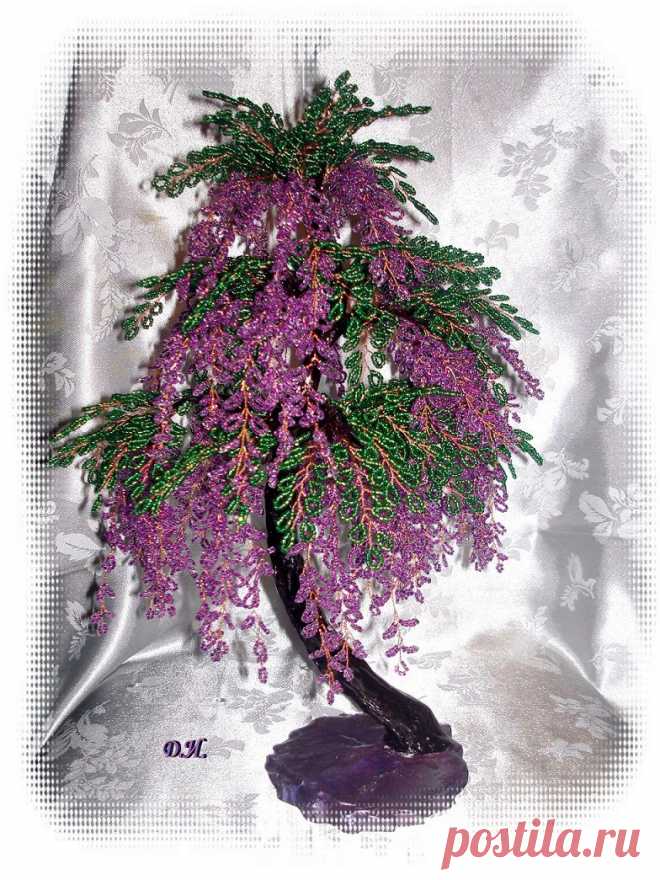 biser.info_72788_glicinija_1395056526.jpg (784×1045)