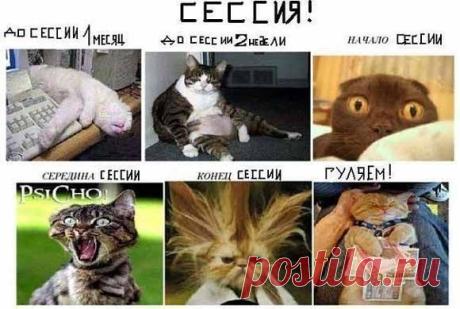 какой механизм изучают по предмету детали машин первым