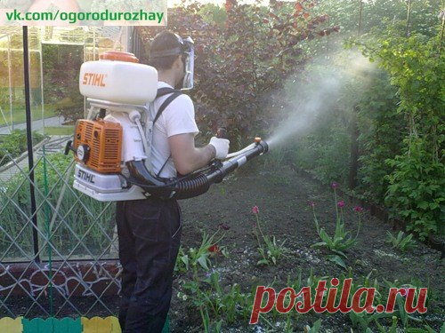 Весенний коктейль

При разворачивании листьев, перед началом бутонизации, саду очень понравится весенний коктейль, который избавит и сад, и вас от множества наприятностей. Надо сделать опрыскивание «Здоровым садом» совместно с другим гомеопатическим препаратом - «Экоберином» («Око»), который увеличивает стойкость растений к капризам погоды (сильное ультрафиолетовое облучение, заморозки, засуха, резкие перепады температуры, в том числе между днем и ночью).
Показать полностью…