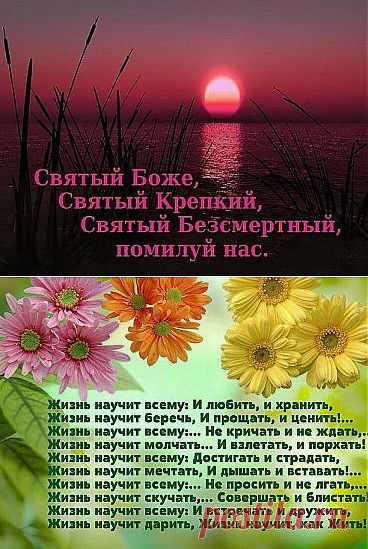 (50) Одноклассники