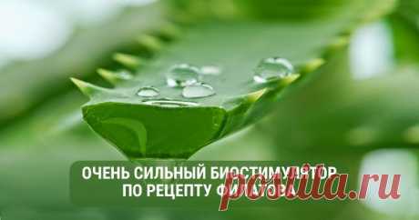 Интересные новости