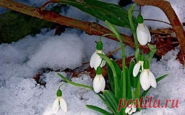 Bw1z1BeWvCY.jpg (600×373)
