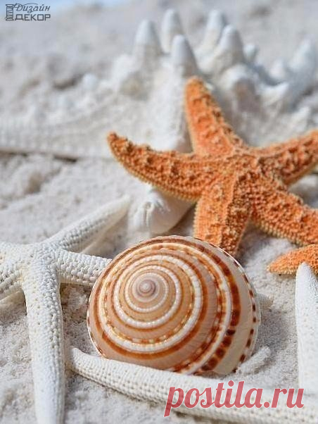 Мой Мир@Mail.Ru