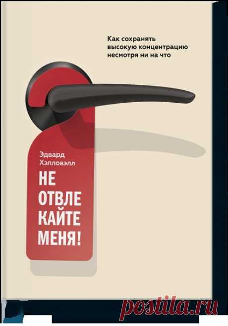 Не отвлекайте меня! (Эдвард М. Хэлловэлл) — МИФ
