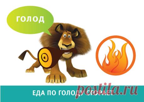 Голод и аппетит. Три шага к стройности | ЛИШНИЙ ВЕС ИЗ ГОЛОВЫ. ДОКТОР К | Яндекс Дзен