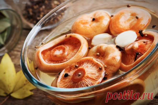 Как правильно солить грибы? | Дачная кухня (Огород.ru)