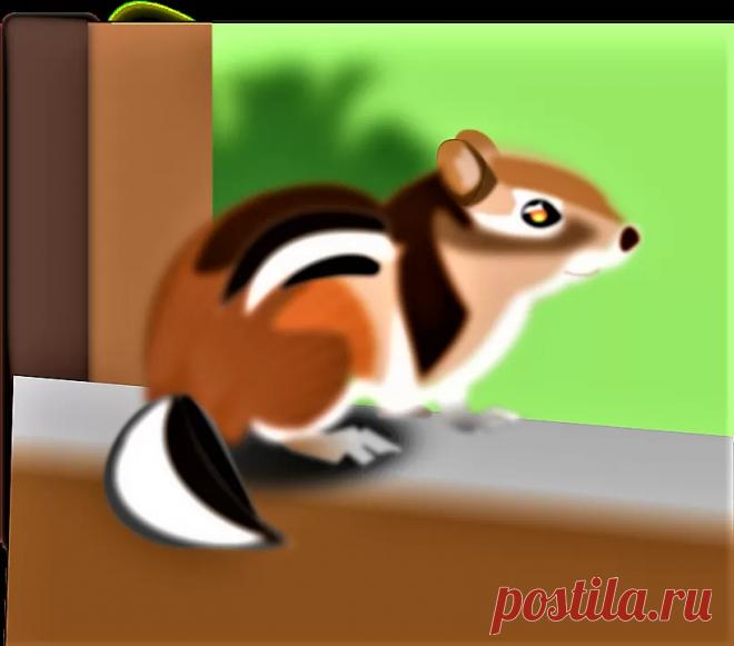 Кузяр бурундук и медведь Бианки - Журнал полезных советов