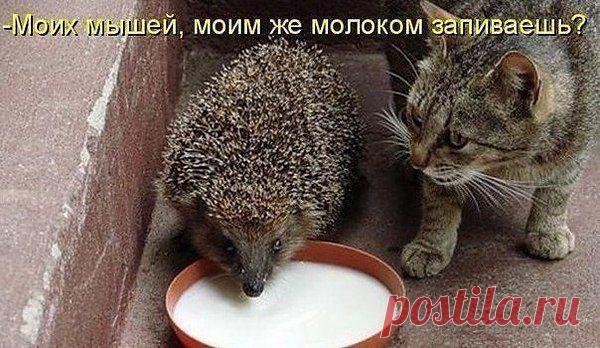 Михаил Мартынов