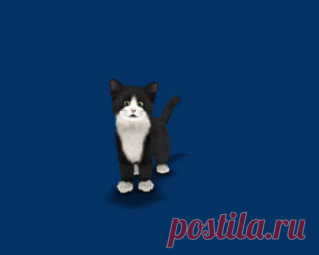 Делаем из флешки гиф картинку