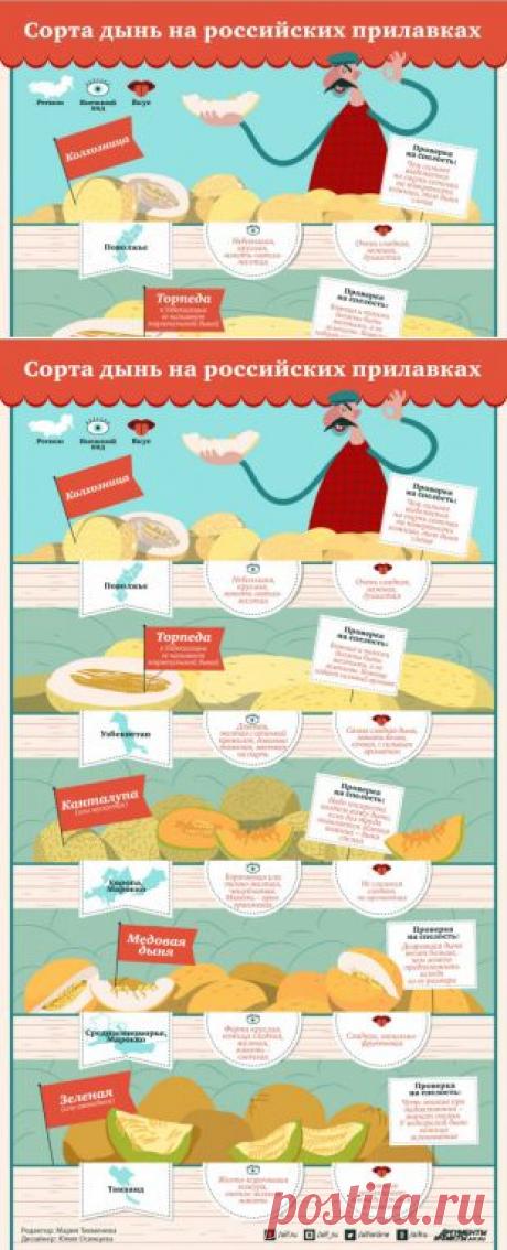 Какие дыни нам продают и как определить их спелость | АиФ Кухня