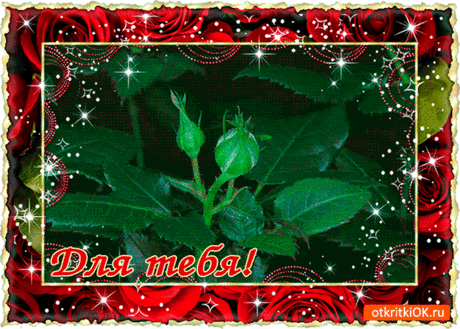 409387989518561.gif (700×500)