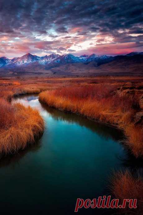 Owens River View @ Нин Xin тюльпан собраны Восход захода свет размывается (3183 рисунок) _ лепесток фотография
