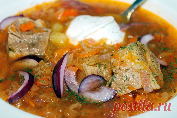 Щи | Домашняя кухня | Яндекс Дзен