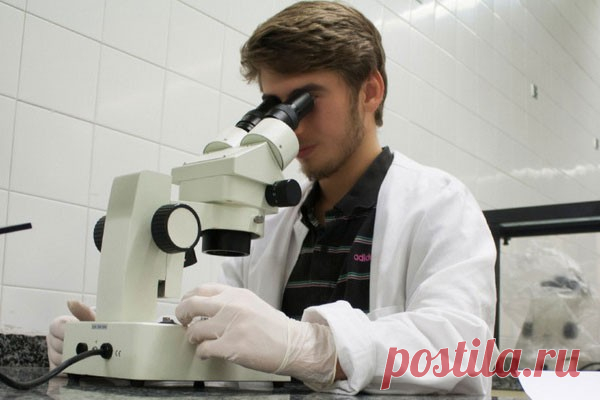 Израильские ученые нашли способ борьбы со старением Ученые из Израиля обратили вспять биологический процесс старения у людей. Это удалось это сделать при помощи гипербарической оксигенации, или кислородной терапии в условиях гипербарической барокамеры. О работе говорится в статье, опубликованной в издании Aging.Как известно, по мере...