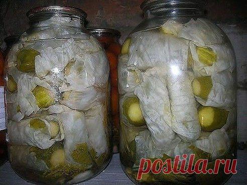 Огурцы в капустных листьях
===================================