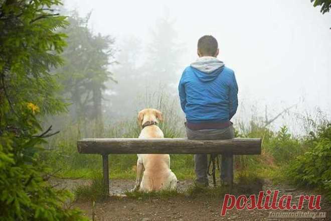 Тень :: социальная сеть родителей http://forumroditeley.ru/viewtopic.php?t=8114