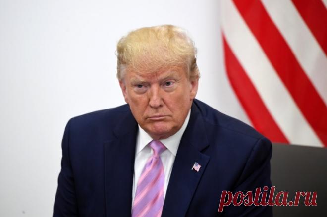 Американские правоведы требуют не пускать Трампа во власть. По их словам, его возможная победа на выборах станет концом демократии в США и нации.