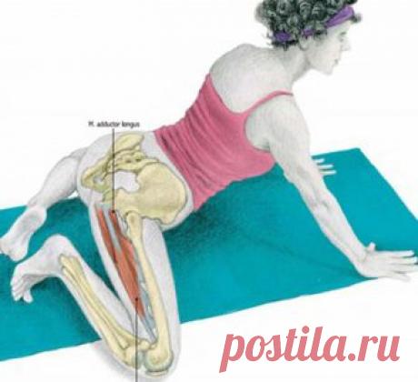 Упражнение ЛЯГУШКА: 4 вида для растяжки ног, пресса и ягодиц  УПРАЖНЕНИЕ, КОТОРОЕ ПОДАРИТ ВАМ НОВОЕ ТЕЛО!