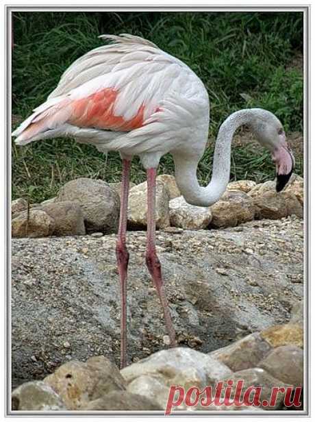 Природа.