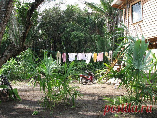 Тропическая эко-ферма Джунглия (Белиз, Центральная Америка)