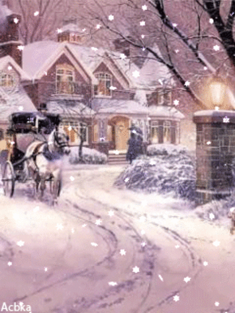 1099156.gif (240×320)